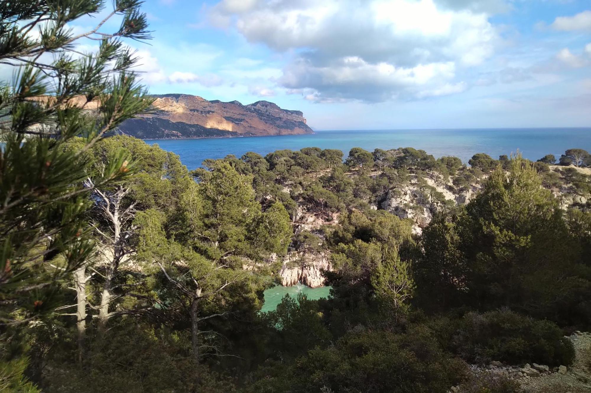 Aquarius In Cassis, Chambres D'Hotes Exteriör bild
